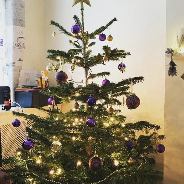 Your Fitness Christmas Survival Guide!